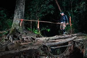 BIB: 
                            <button type="button" onclick="openModal(27460555)" class="btn btn-primary btn-sm float-right btn-popup" data-toggle="modal" data-target=".modal-high-quality">
                        <i class="fas fa-shopping-cart"></i> Add to Cart
                    </button>
                                            <button type="button" onclick="isThisMe(27460555, true)" class="btn btn-success btn-sm float-right btn-popup btn-isme hidden" data-toggle="tooltip" data-placement="bottom" title="นี่คือรูปของคุณใช่ไหม คลิกที่นี่เพื่อเอาเข้าอัลบั้ม">
                        <i class="fas fa-plus"></i> Add to album
                    </button>
                    <button type="button" onclick="isThisMe(27460555, false)" class="btn btn-warning btn-sm float-right btn-popup btn-isnotme hidden">
                        <i class="fas fa-ban"></i> Remove from album
                    </button>